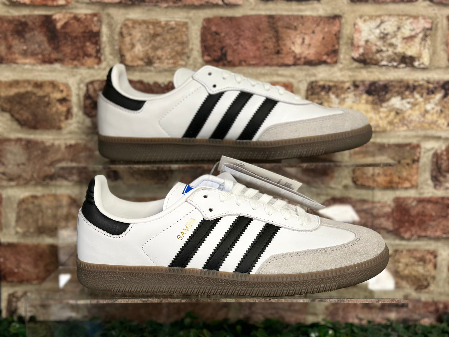 white Adidas OG